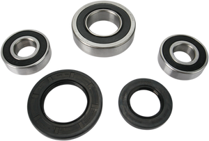 Pivot Works - Wheel Bearing Kit - Rear - Wheel Bearing and Seal Kit - PWRWS-S14-000