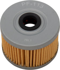 Pro Filter - Replacement Oil Filter - Replacement Oil Filter - PF-113