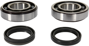 Prox - Crank Bearing and Seal Kit - Crankshaft Bearing and Seal Kit - 23.CBS42092