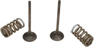 Prox - Valve and Spring Kit - Valve and Spring Kit - 28.SES3338-1