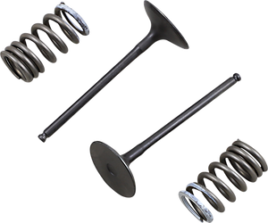 Prox - Intake Valve and Spring Kit - Valve and Spring Kit - 28.SIS3338-2