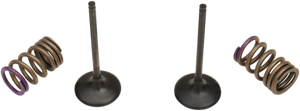 Prox - Valve and Spring Kit - Valve and Spring Kit - 28.SIS4338-2