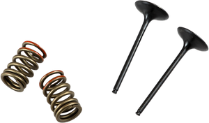 Prox - Valve and Spring Kit - Valve and Spring Kit - 28.SIS4341-2