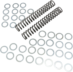 Race Tech - Fork Springs - 1.00 kg/mm - Fork Springs  56.00 lb/in - FRSP S3825100