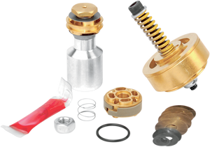 Race Tech - Gold Valve Fork Kit - Gold Valve Fork Kit - FMGV S2048C