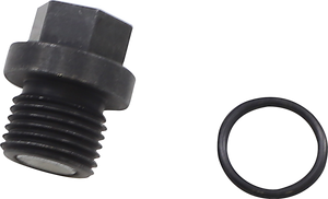 Quad Logic - Front Differential Drain Plug and O-Ring - Front Differential Drain Plug - 100-2386