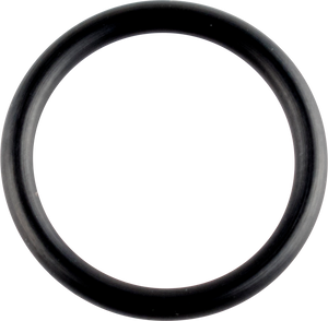 Wsm - ORING CRANKCASE - ORING CRANKCASE - 008-600-04