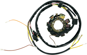 Rick's Motorsport Electric - Stator - Stator for Polaris - 21-553