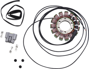 Rick's Motorsport Electric - Stator - BMW - OEM Style Stator - 21-033