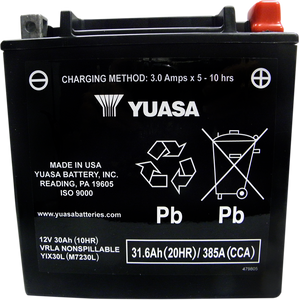 Yuasa - AGM Battery - YIX30L-BS-PW - AGM Maintenance-Free Battery - YUAM6230XPW Yuasa - AGM Battery - YIX30L-BS-PW - AGM Maintenance-Free Battery - YUAM6230XPW