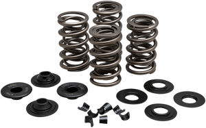 Kibblewhite - Spring Kit - .675" - Evolution/Twin Cam - Valve Spring Kit - 20-21600