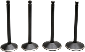 Kibblewhite - Valve Kit - Evolution - Engine Valve Kit - 20-22600