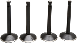 Kibblewhite - Valve Kit - Engine Valve Kit - 20-22400