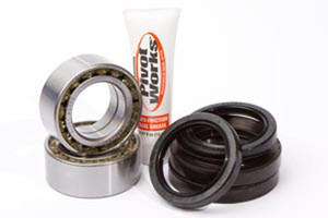 Pivot Work's Inc - Pivot Works Front Wheel Bearing Kit Honda Atv - PWFWK-H22-040