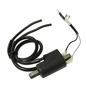 Spi - External Ignition Coil - 01-143-70