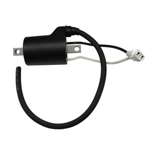 Spi - Ignition Coil Polaris - SM-01114