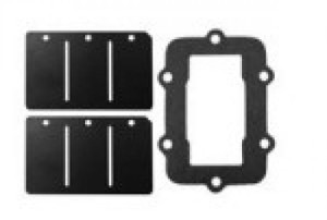 Spi - Spi Reed Valve Repair Kit S-d - SM-07160C