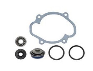 Spi - Spi Water Pump Repair Kit - SM-10103