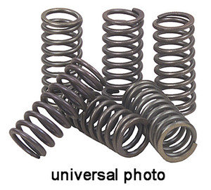 Ebc - Ebc Clutch Springs - CSK158