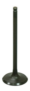 Bronco - Intake Valve - AU-09206I
