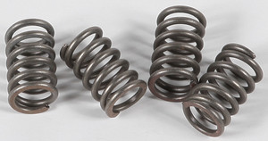 Ebc - Clutch Springs - CSK3