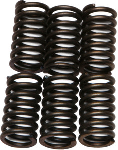 Ebc - Clutch Springs - CSK41