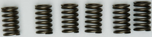 Ebc - Clutch Springs - CSK131