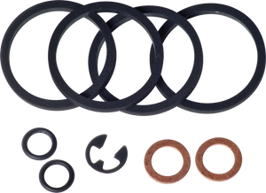Hawg Halters Inc - Sprkt/ Brake Cal Rebuild Kit - HHI-351-002