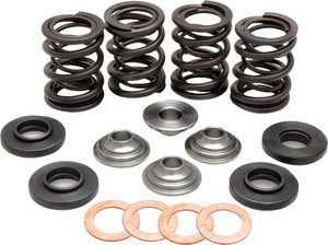 Kpmi - Racing Valve Spring Kit - 96-96000