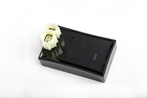 Ricks - Cdi - 15-001