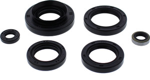 Vertex - Oil Seal Set - 822366