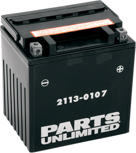 Parts Unlimited - AGM Battery - YIX30L-BS - AGM Maintenance-Free Battery - CTX30L-BS