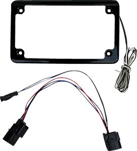 Custom Dynamics - Frame License Plate W/ Tag Light Blk For Sxs - CD-LPF-TA