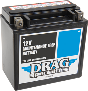 Drag Specialties - AGM Battery - YTX14LBS - AGM Maintenance-Free Battery - DTX14L-BS Drag Specialties - AGM Battery - YTX14LBS - AGM Maintenance-Free Battery - DTX14L-BS