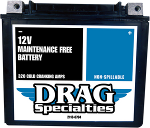 Drag Specialties - AGM Battery - YTX20HL FT - Factory-Activated High-Performance AGM Maintenance-Free Battery - CTX20HL FA FT Drag Specialties - AGM Battery - YTX20HL FT - Factory-Activated High-Performance AGM Maintenance-Free Battery - CTX20HL FA FT
