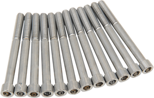 Drag Specialties - Crankcase Smooth Bolt Kit - Chrome - M8 - M-Eight Bolt Kit - MK778S