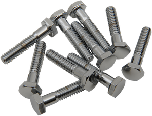 Drag Specialties - Bolts - Hex-Head - Chrome - 1/4"-20 x 1" - Replacement Hex-Head Bolts - MPB116