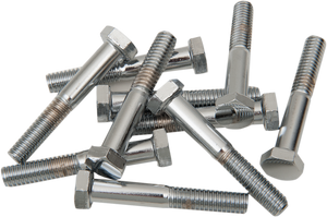 Drag Specialties - Bolts - Hex-Head - Chrome - 5/16"-18 x 2-1/4" - Replacement Hex-Head Bolts - MPB130