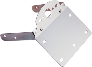 Drag Specialties - License Plate/Taillight Bracket - License Plate and Taillight Bracket - 72493 Drag Specialties - License Plate/Taillight Bracket - License Plate and Taillight Bracket - 72493