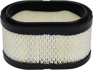 All Balls - Air Filter Polaris - 48-1024