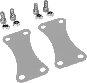 Coastal Moto - Riser Fender 21" 2024 Flhx,fltr Polished - FB24-SS