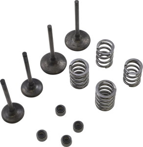 Wiseco - Valve Kt Gb Rm-z450 07 - SVKB3407