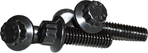 Lyndall Brakes - 12 Point Front Rotor Bolts Black  5/16-18x1 - 108-9650