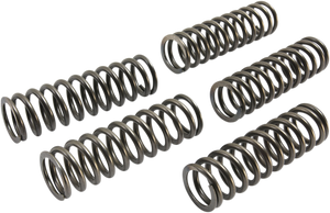 Ebc - Clutch Springs Ebc Csk223 - CSK223