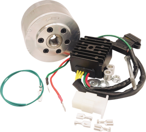 Rick's Motorsport Electric - Charging Kit Honda - 14-99-111