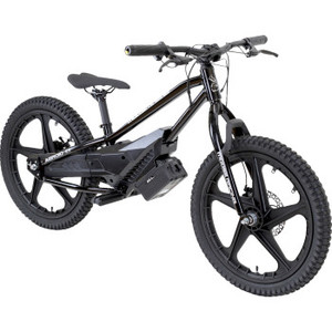 Moose Offroad - Agroid Rs-20 E-balance Bike - X02-A0101S Moose Offroad - Agroid Rs-20 E-balance Bike - X02-A0101S