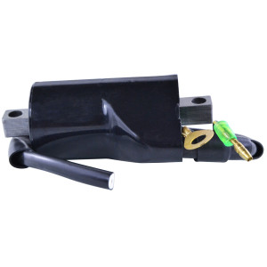 Rm Stator - External Ignition Coil - RM06056