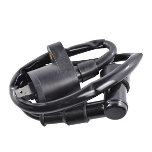 Rm Stator - External Ignition Coil W/spark Plug Cap - RM06001