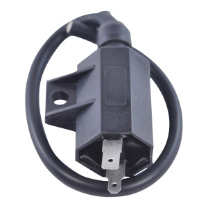 Rm Stator - External Ignition Coil - RM06030