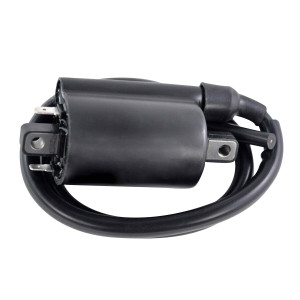 Rm Stator - External Ignition Coil - RM06176